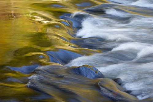 Textures;Shapes;Patterns;Abstractions;Abstract;Reflections;Reflection;Plant;Trunk;Bark;Leafy;Branches;Branch;Woodland;Herbaceous;Shrub;Bush;Trees;Tree Trunk;Brook;Creek;Rivulet;Streamlet;Stream;Rivers;River;Riverbed;Water;Flowing;waterway;stream;creek;brook